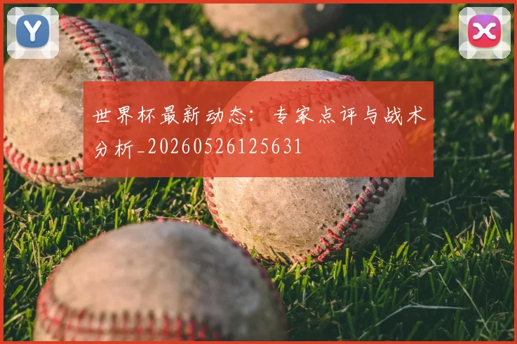 世界杯最新动态:专家点评与战术分析_20260526125631